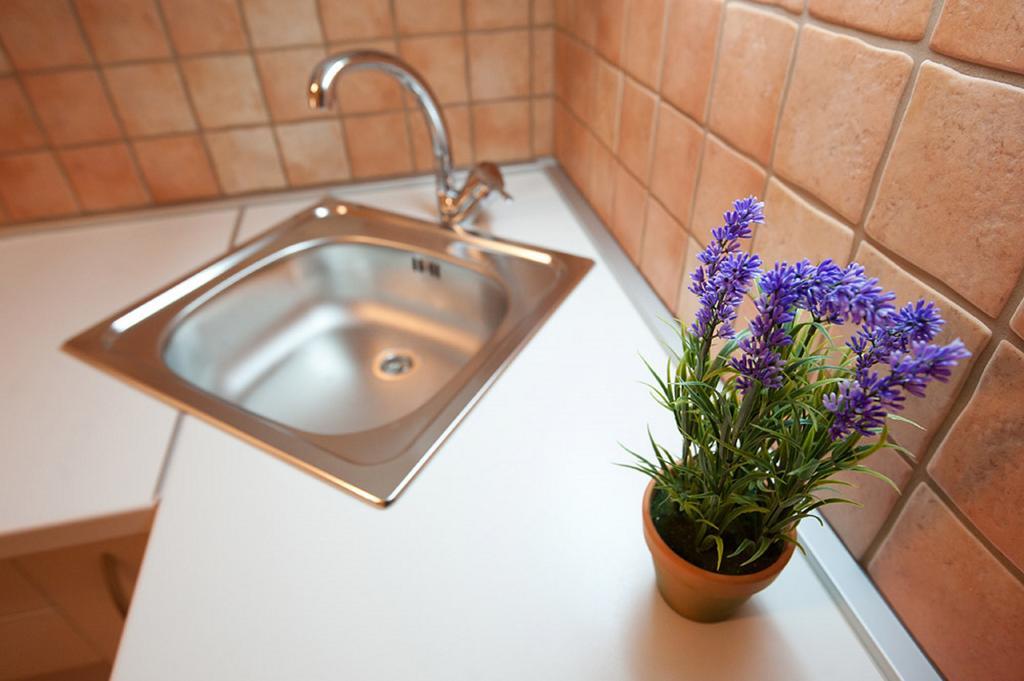 Viola Apartment Zadar Eksteriør billede