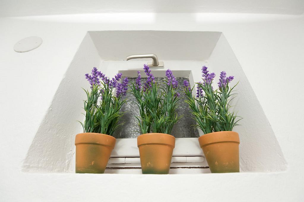 Viola Apartment Zadar Eksteriør billede
